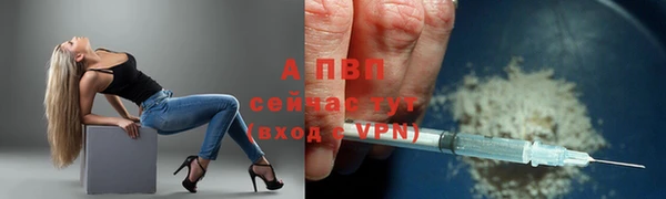 МДПВ Вяземский
