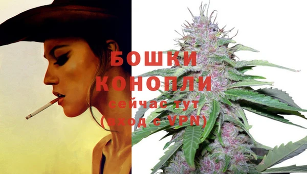 2c-b Горняк